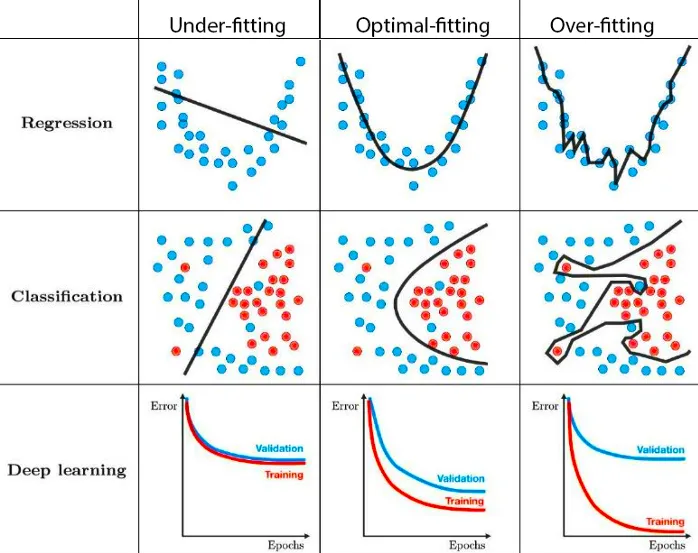 bias-in-different-models